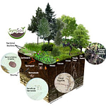 Soil Food Web