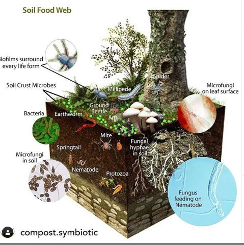 Soil Ecosystem – How it works – SymSoil