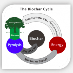 Biochar cycle